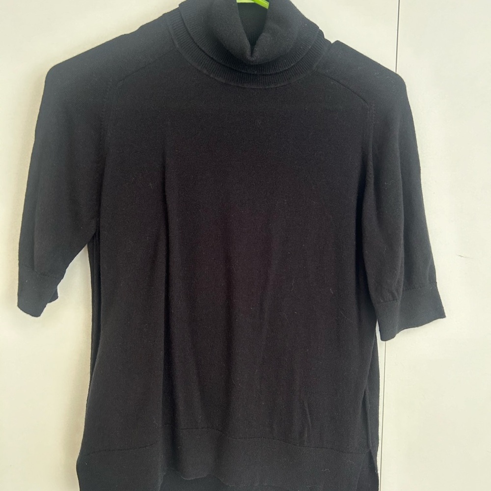 Everlane Black Turtleneck Sweater